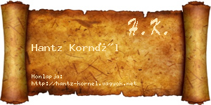 Hantz Kornél névjegykártya